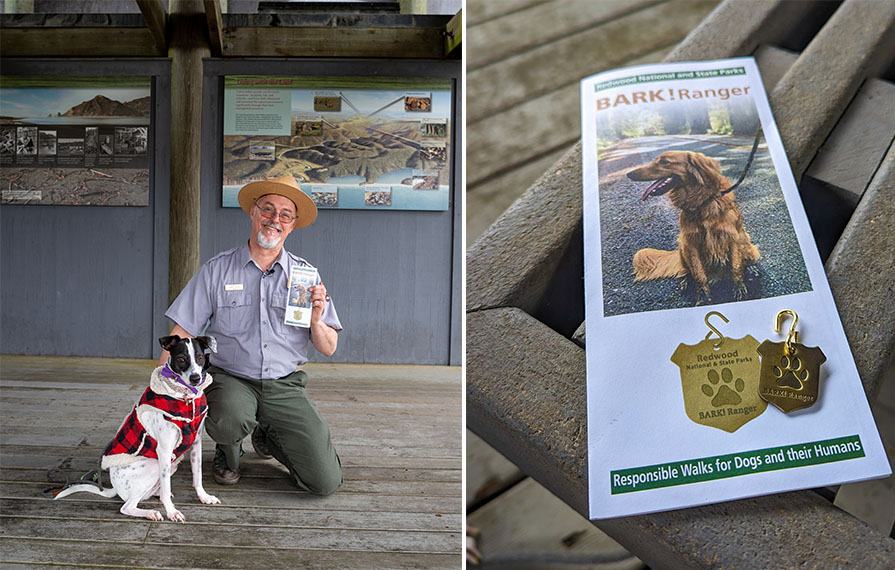 Dog-Friendly National Parks - Winnebago