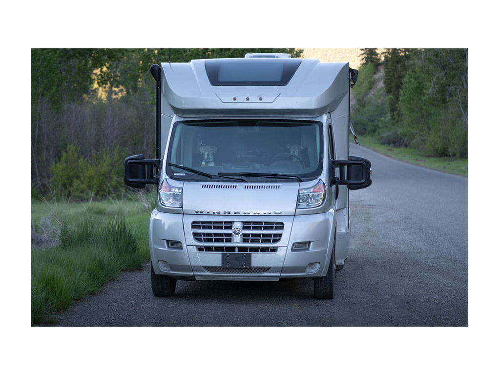 Front of Trend with dogs in front seats