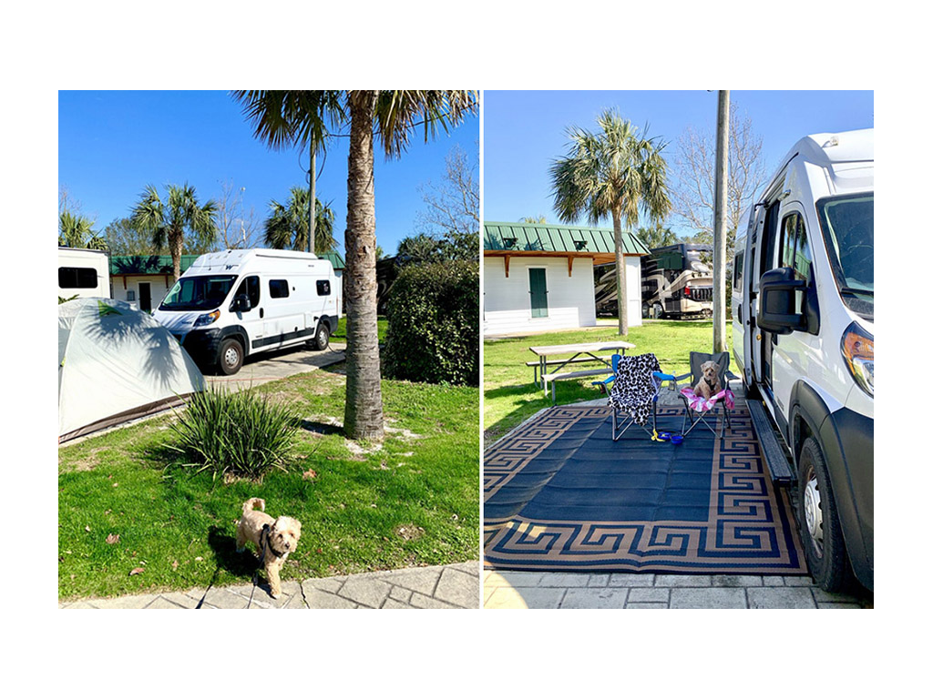 Solis parked in campsite behind tent