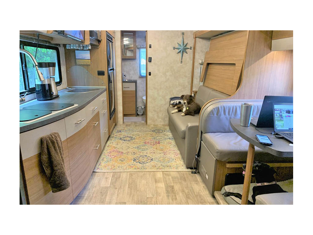 Interior of Winnebago Navion. Brown and white dog is sitting on sofa