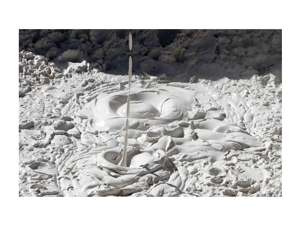 A mudpot in Yellowstone National Park