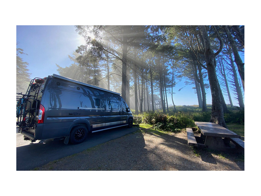 Travato parked at campground with trees and blue sky