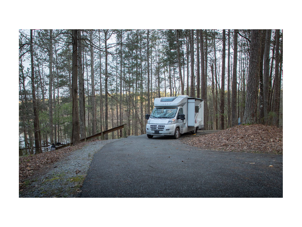 Trend parked in park with trees in background