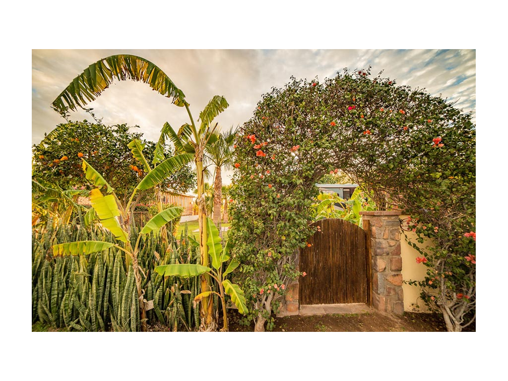 Wooden gate surrounded by beautiful landscaping