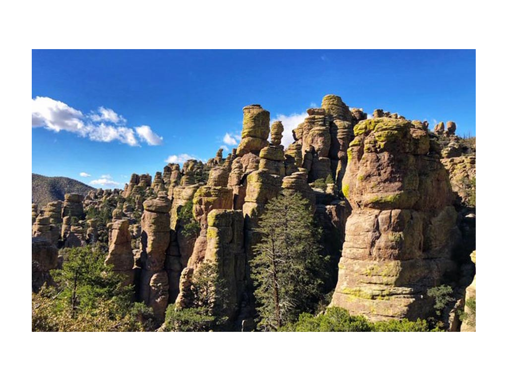 hiricahua National Monument near Wilcox, AZ