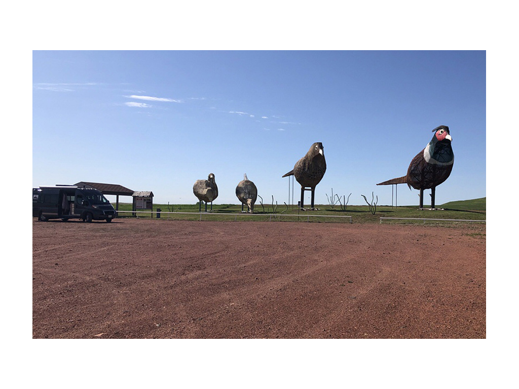Novella, Sue's Winnebago Travato, parked next to pheasant sculptures