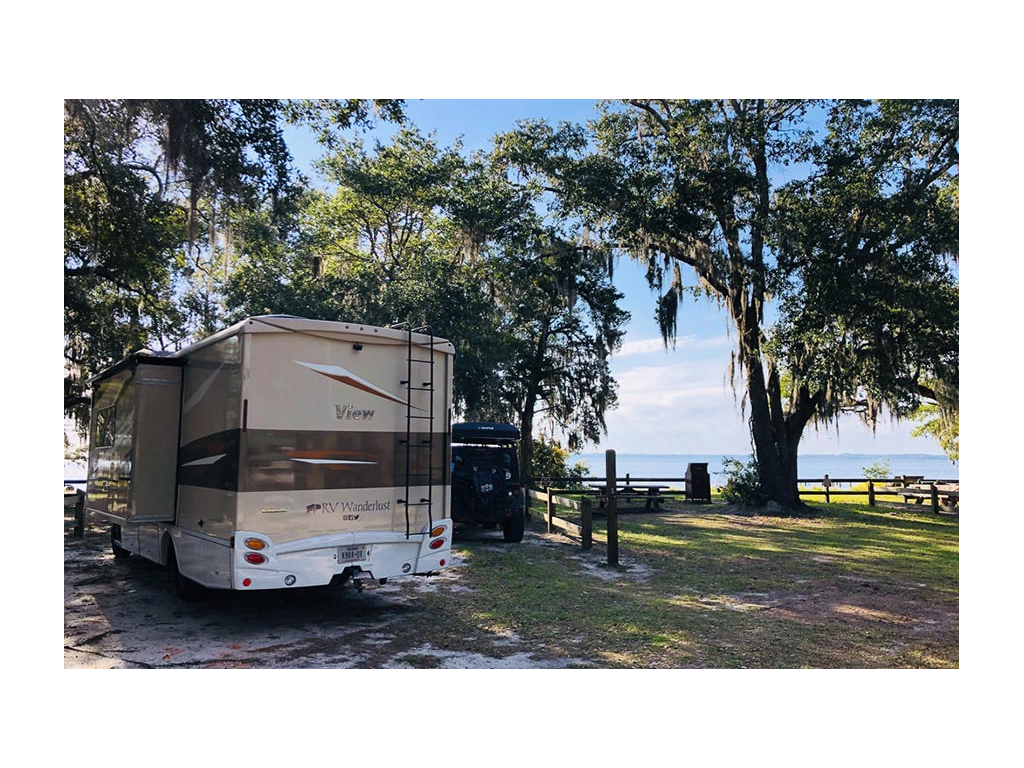 View sitting under three large trees