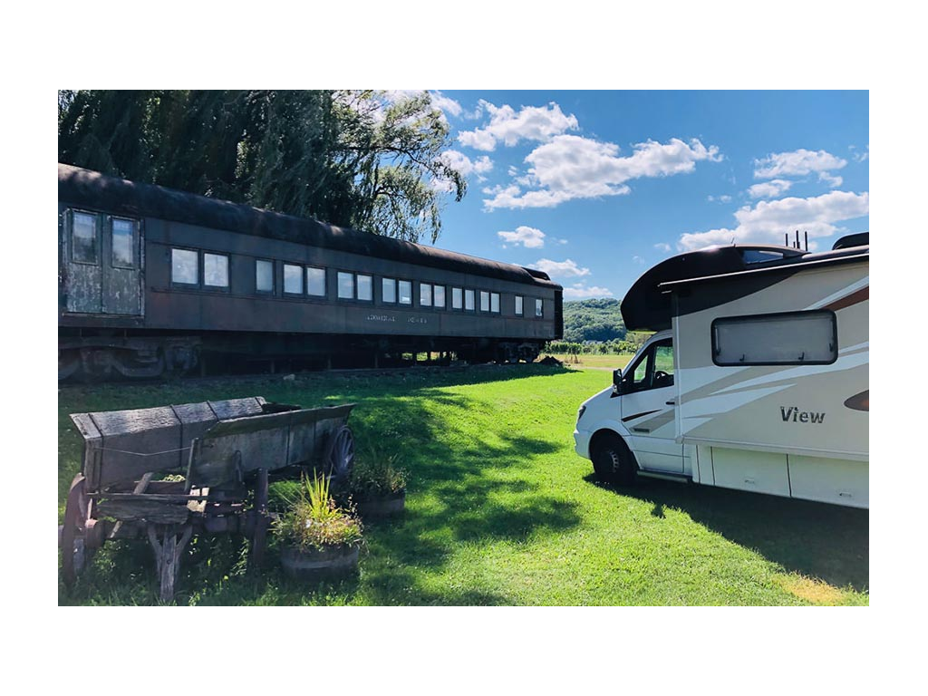 View parked on green grass in front of train