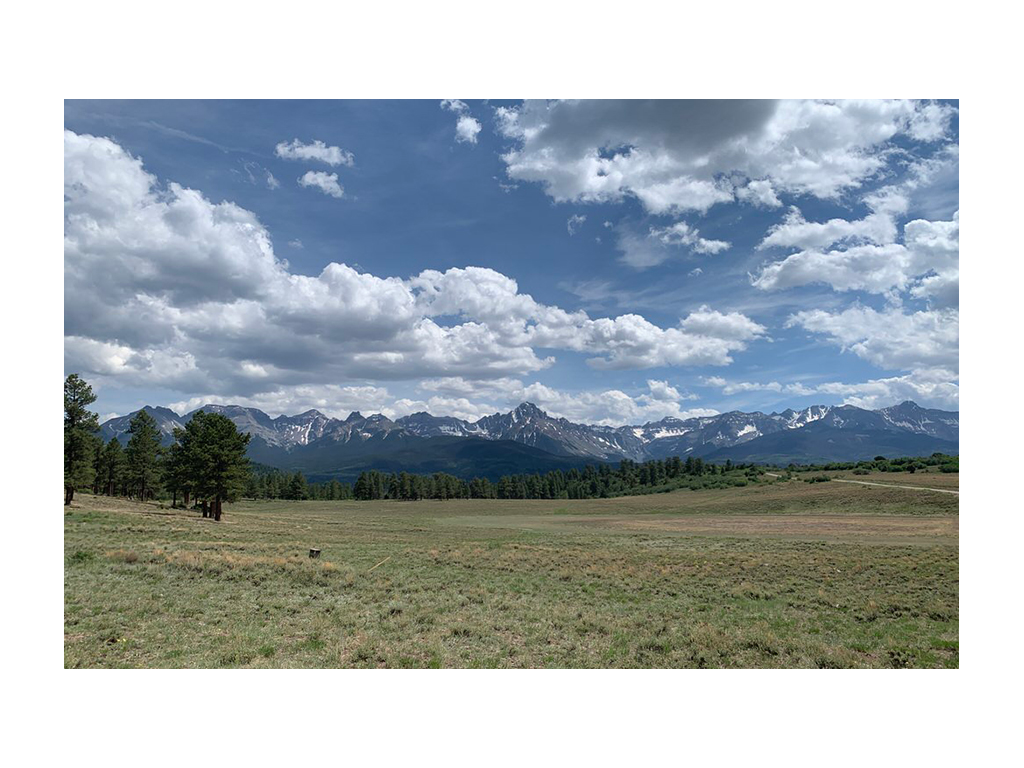 Green grass and mountains of the Rocky Mountain National Park