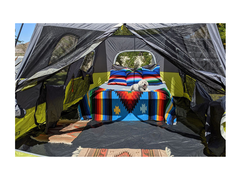White fluffy dog laying on bed inside tent