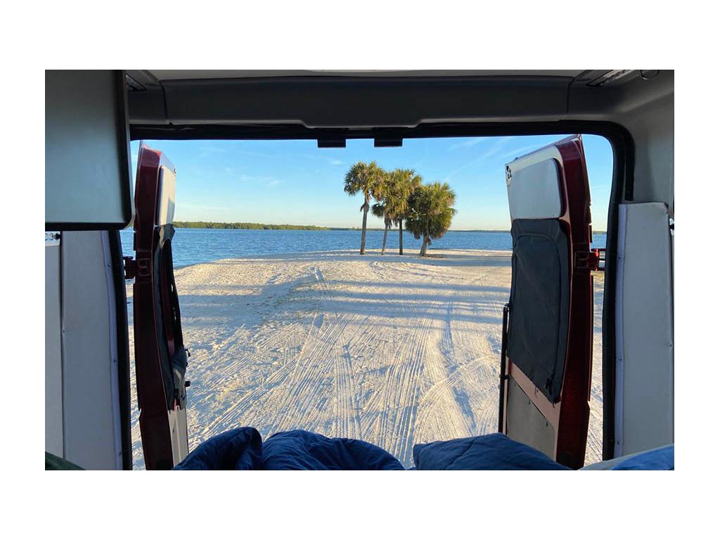 View of palm trees out back doors of Solis