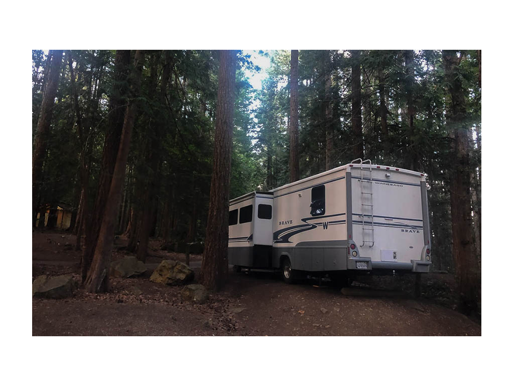Winnebago Brave parked in campground surrounded by trees. 
