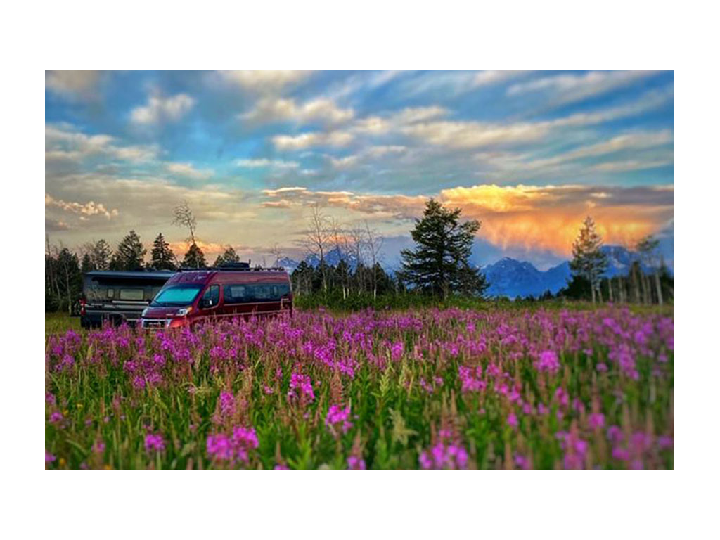 Two Travatos sitting in field of flowers with colorful sunset above them