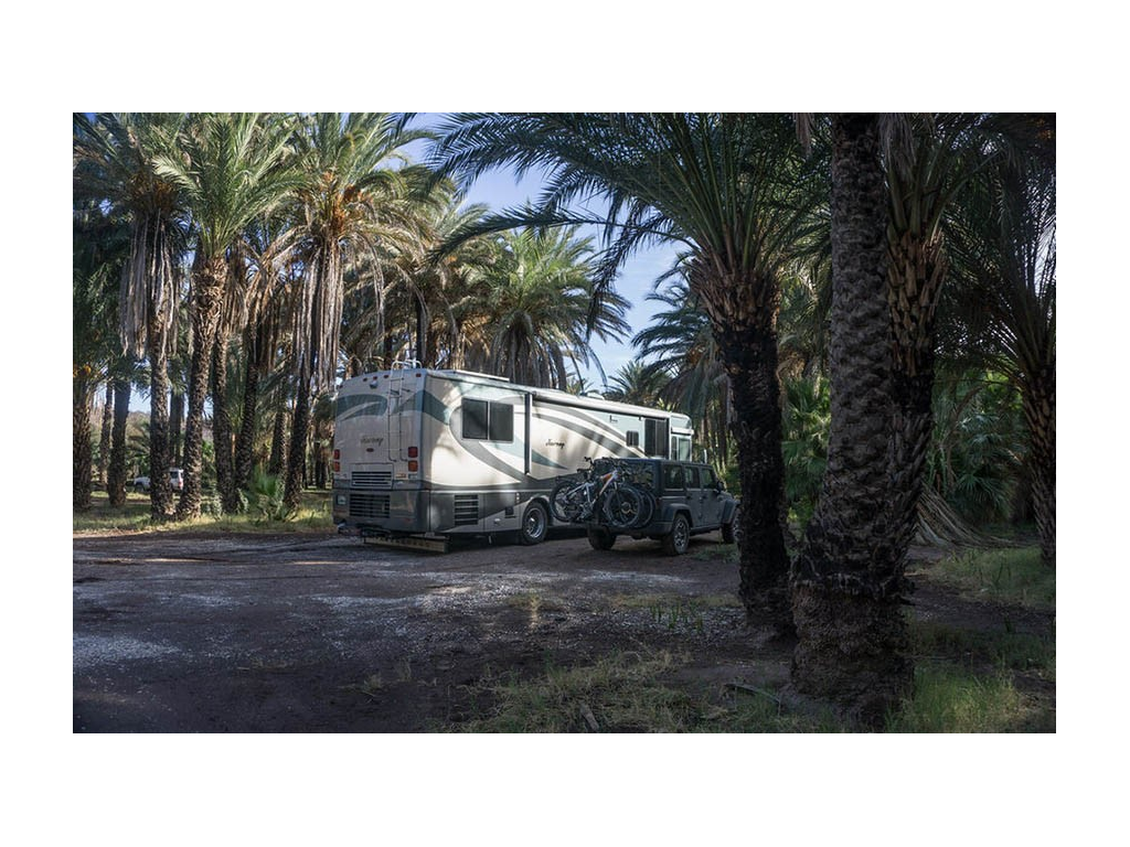 Journey and tow car parked under palm trees