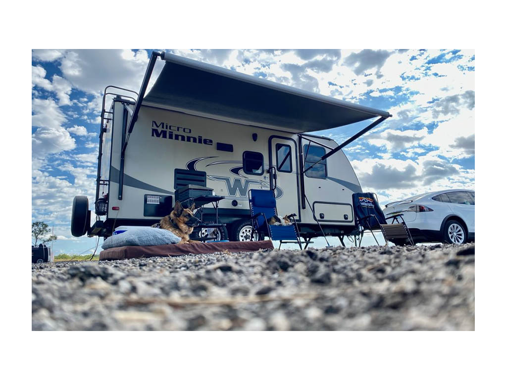 German Shepherd sitting on dog bed outside Micro Minnie with awning extended.
