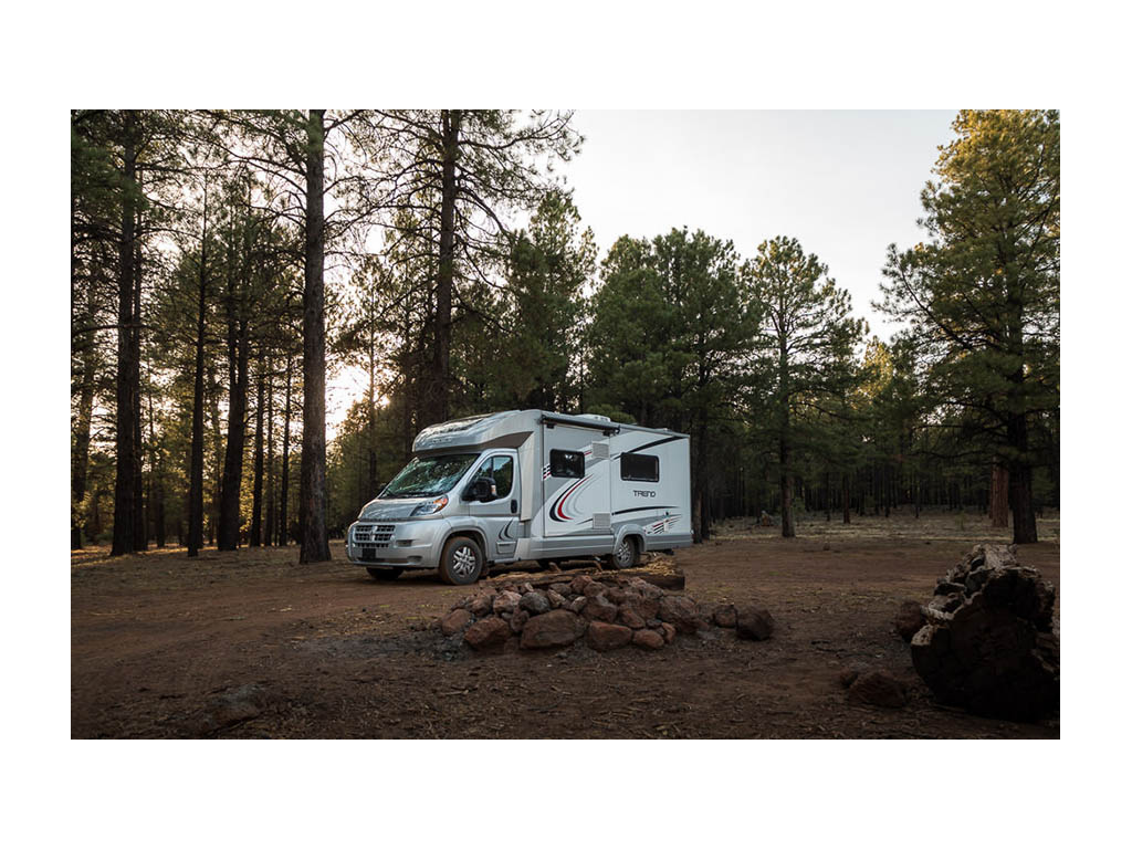 Winnebago Trend parked in Flagstaff, Arizona on dirt road with tall trees all around
