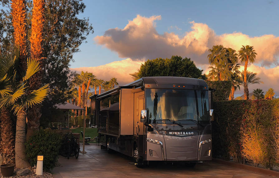 Horizon parked under palm trees with colorful sunset