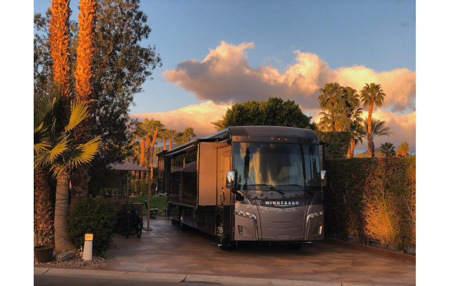 Horizon parked on patio near palm trees and green bushes