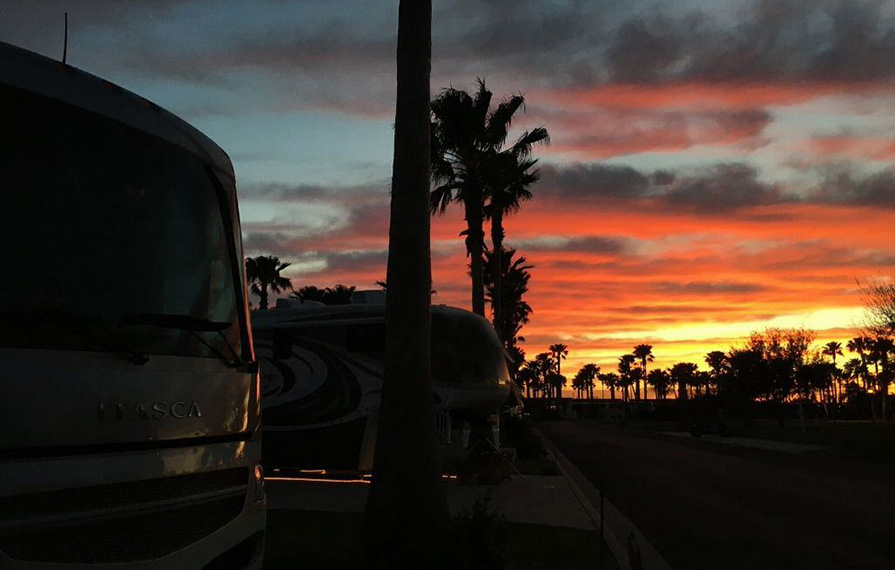 Colorful sunset with palm trees