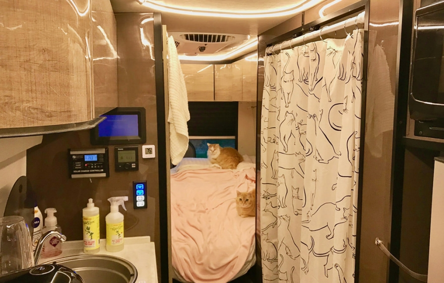 Interior of Era with two cats on bed