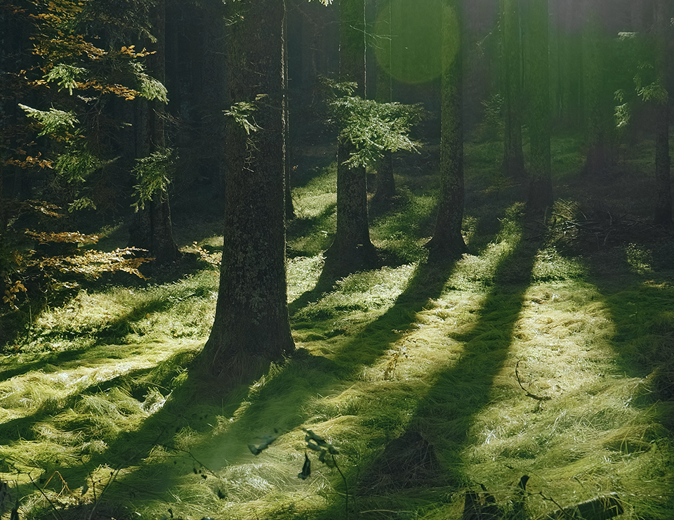 Winnebago eRV2 All-Electric RV | EV Motorhome Camper Van