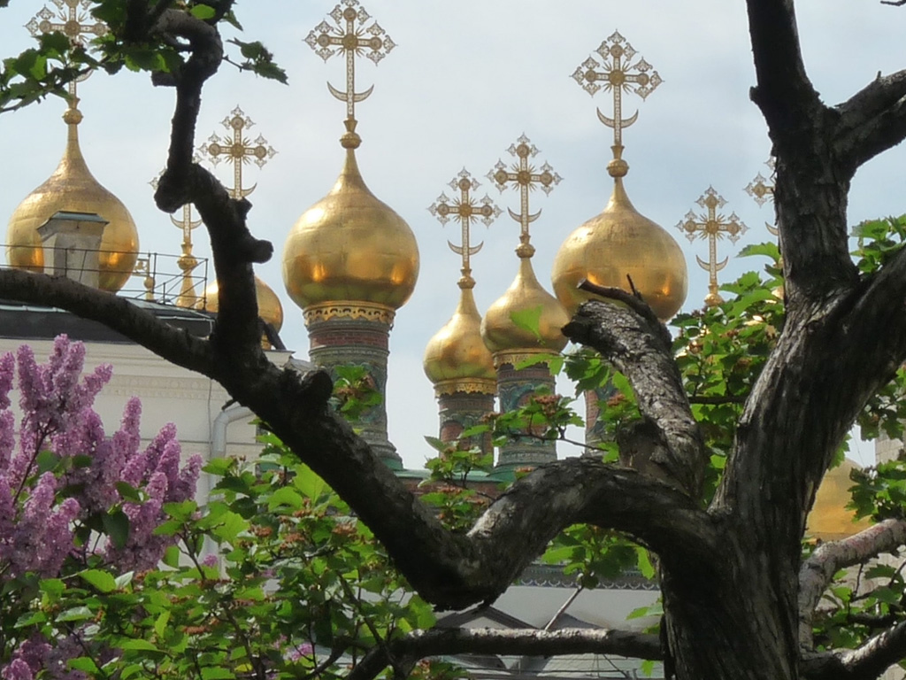 Gold domes of Russian Orthodox Churches. 
