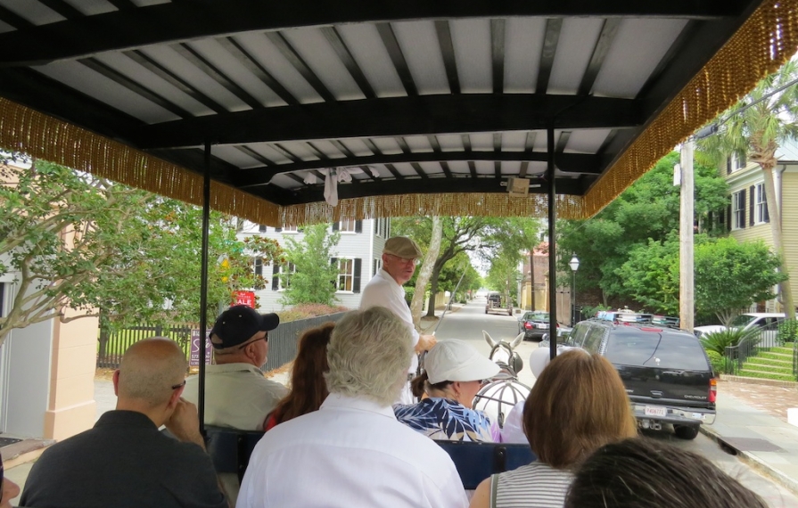 People on the Charleston buggy ride.