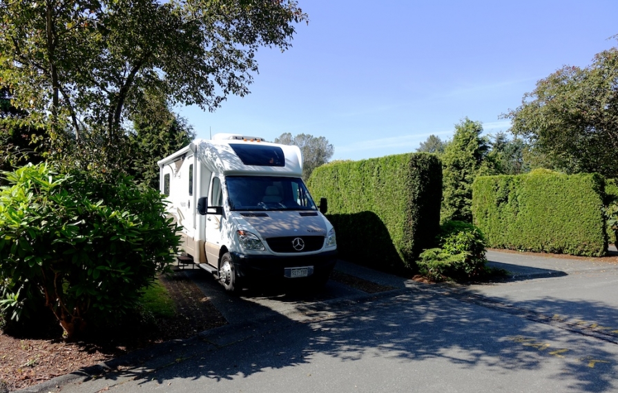 Motorhome parked in campsite separated by large green hedges. 