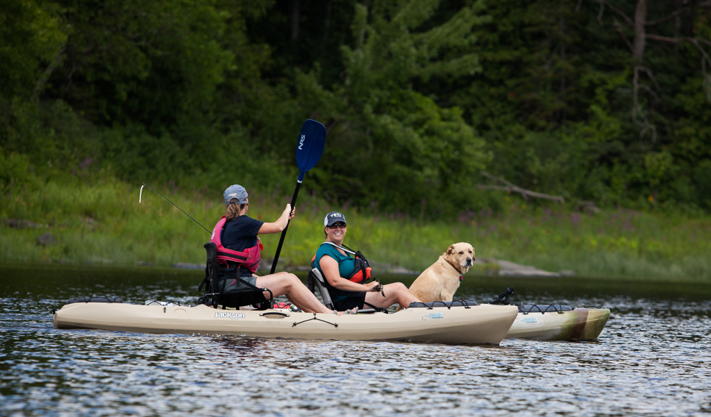 Two women and a dog on paddleboards on the water.