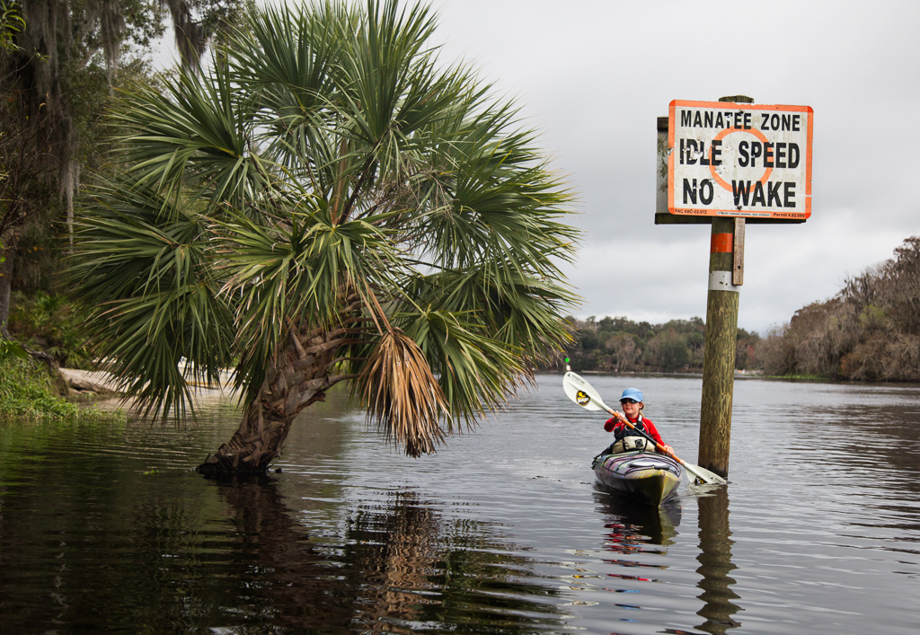 Abby in her kayak passing a sign that read, "Manatee Zone Idle Speed No Wake."