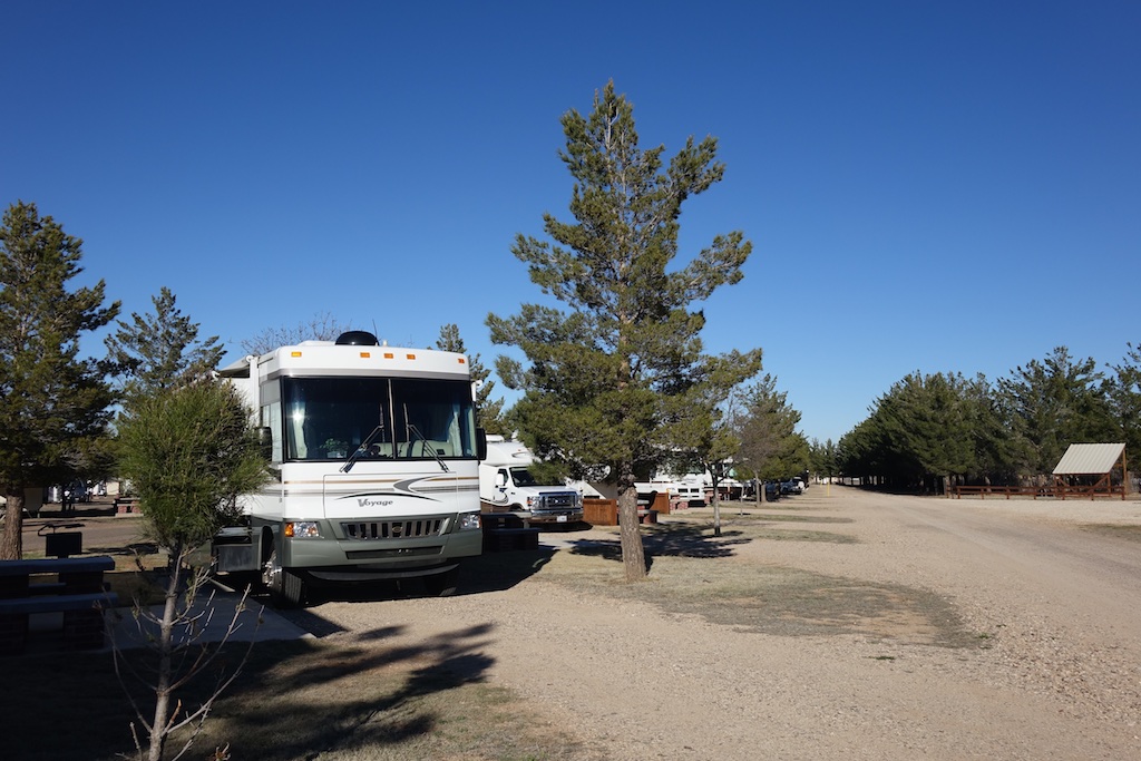 RVs parked at campsites in campground scattered with a few trees.