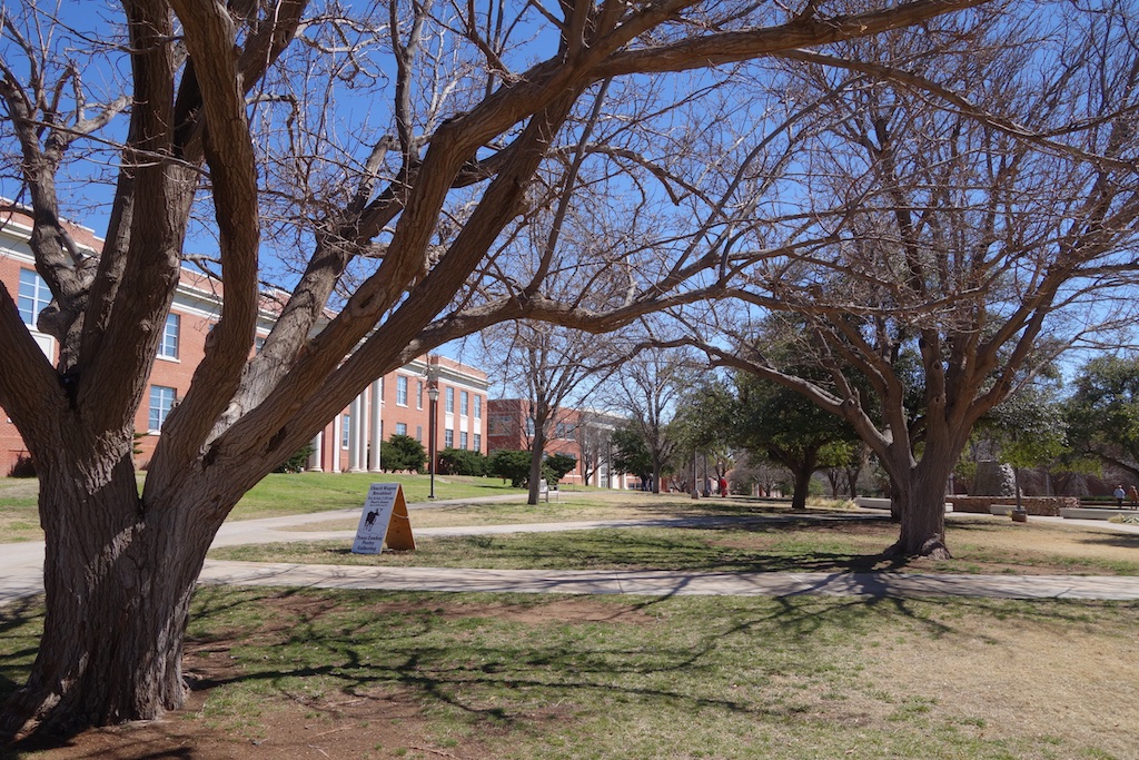 Buildings on campus at Sul Ross University.