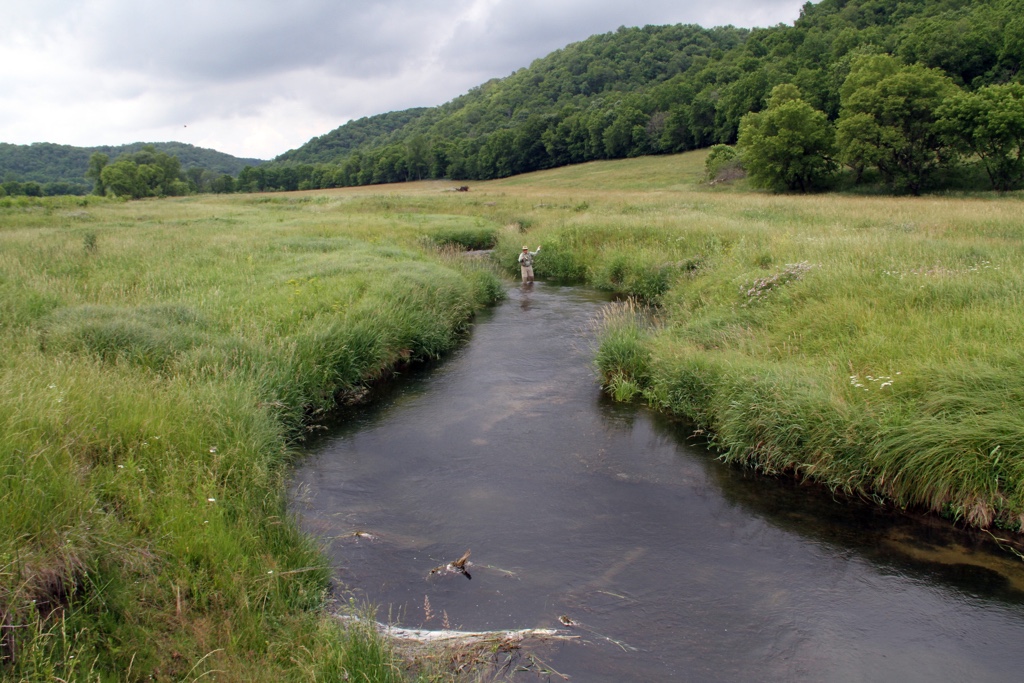 Person fishing in shallow stream alongside tree covered hills.