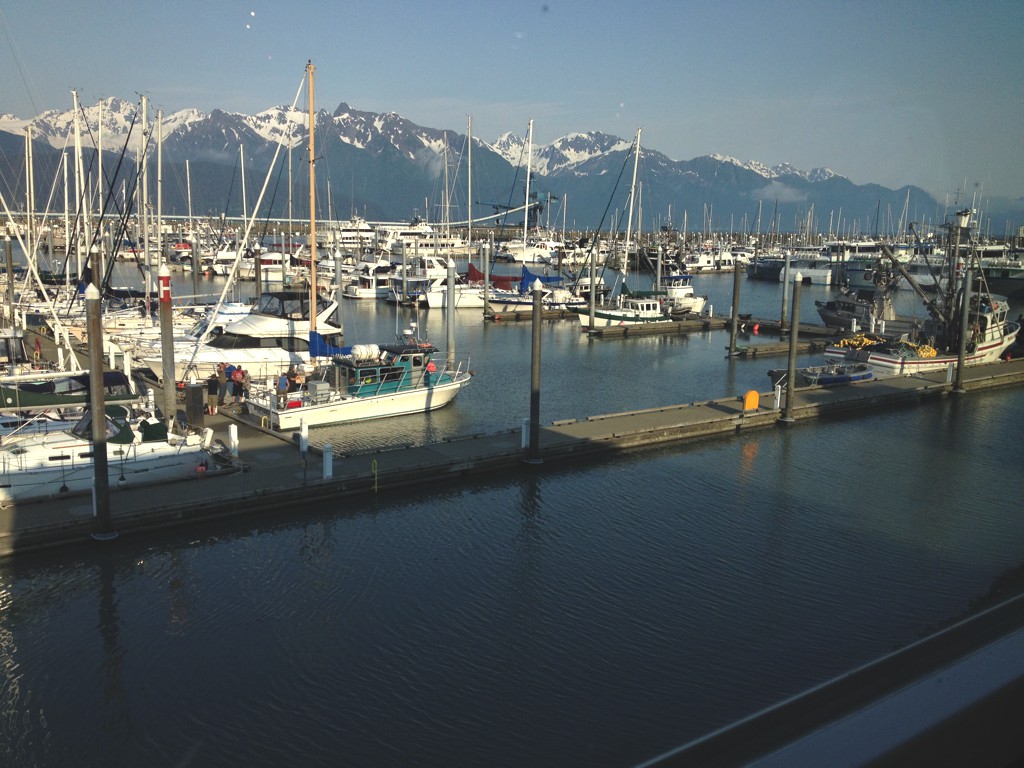 Dozens of boats docked in the harbor with mountains in the background.