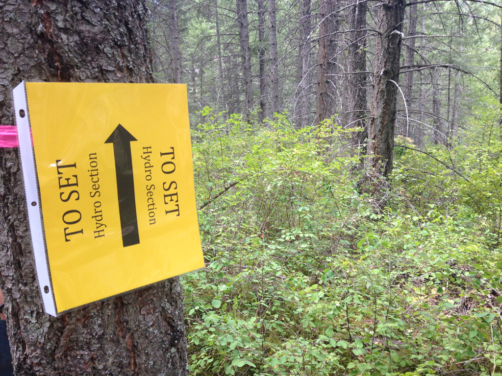 Yellow sign with arrow pointing in to the woods that reads "To set Hydro Section."