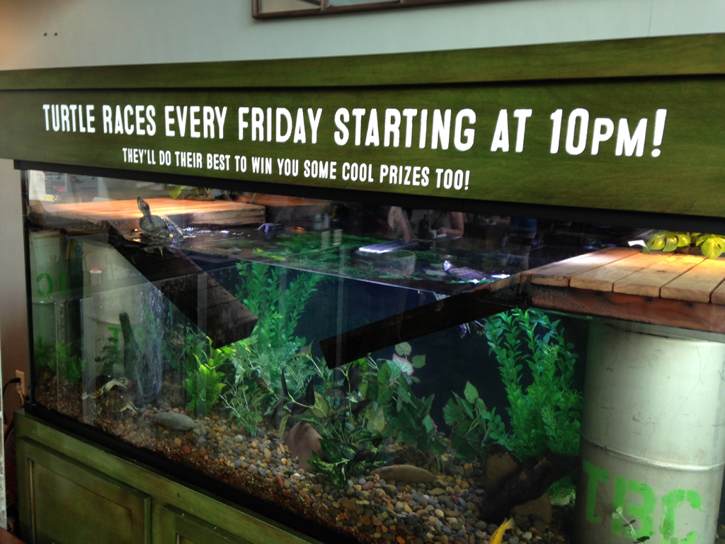 Turtle aquarium tank with sign that reads, "Turtle races every Friday starting at 10PM! They'll do their best to win you some cool prizes too!"