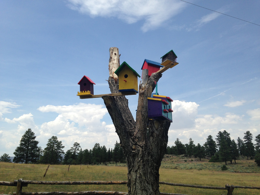 Brightly painted birdhouses on a tree trunk.