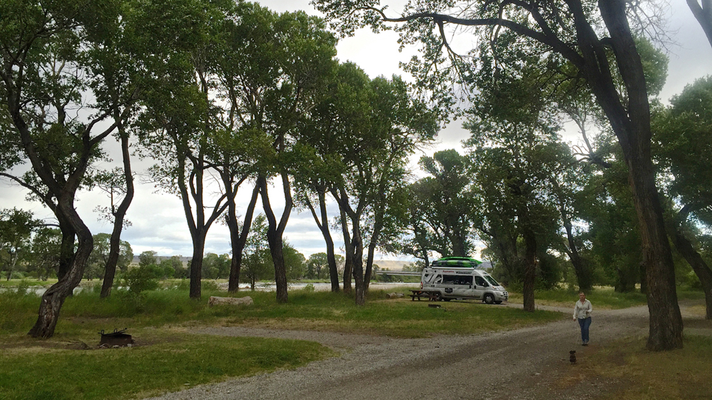 Winnebago Travato parked in campsite with trees and water. 