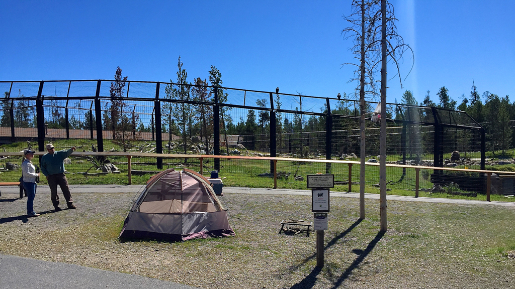 Example set up of campsite if in bear country.