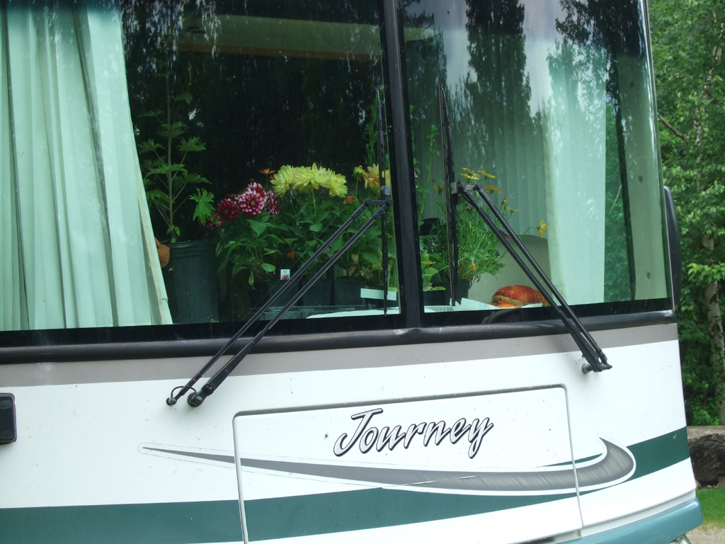 Row of flowers along front dash of a Winnebago Journey.