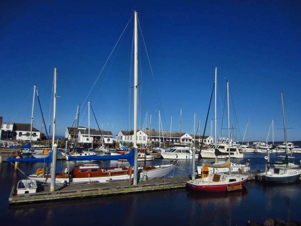 Boats of all sizes docked at Port Townsend.