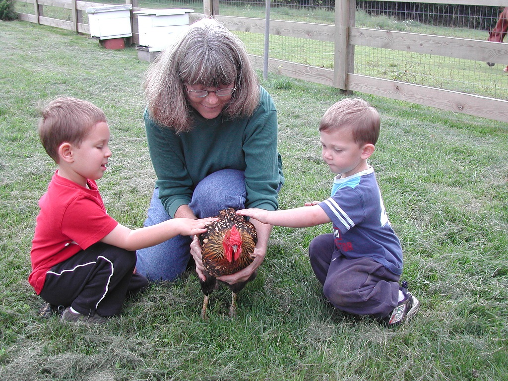 Woman and two boys petting a chicken.