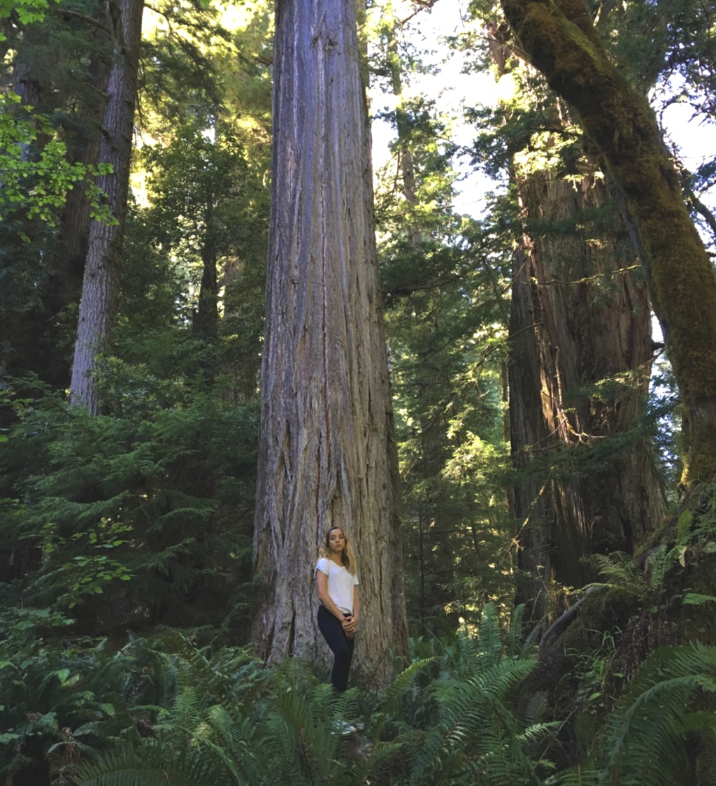 Girl standing at the base of a massive redwood.