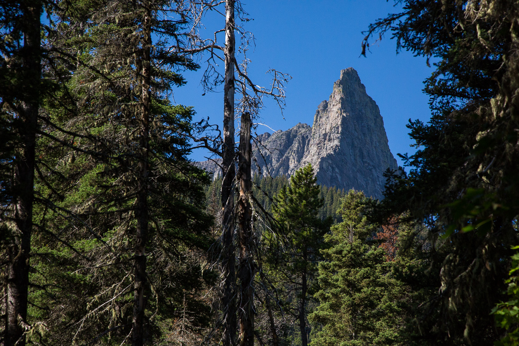 Massive rock formation peaking out over the tops of trees.