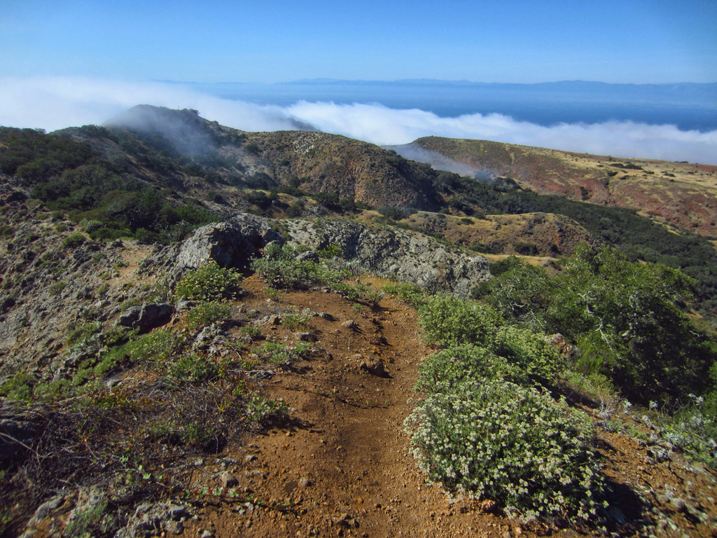 Dirt path lined with small green brush along the ridge of the hills with the clouds rolling in and water ahead.
