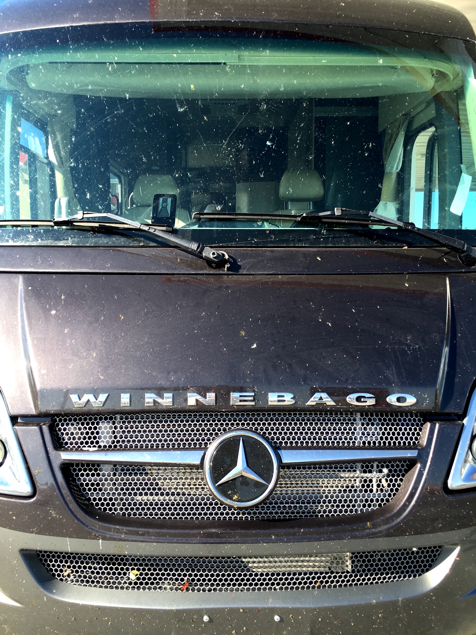 Front end of Winnebago Via covered in bugs.
