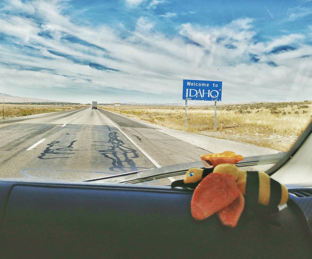 Welcome to Idaho sign along the highway with a stuffed bumble bee on the dash.