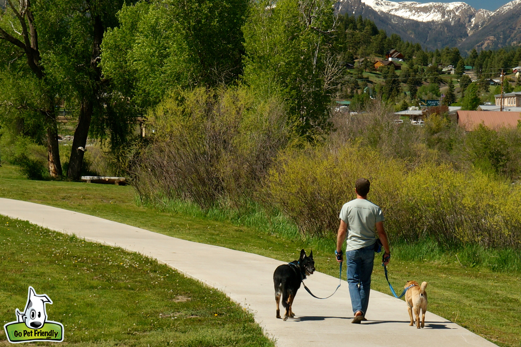 Person walking two dogs along a paved path with mountains in view.