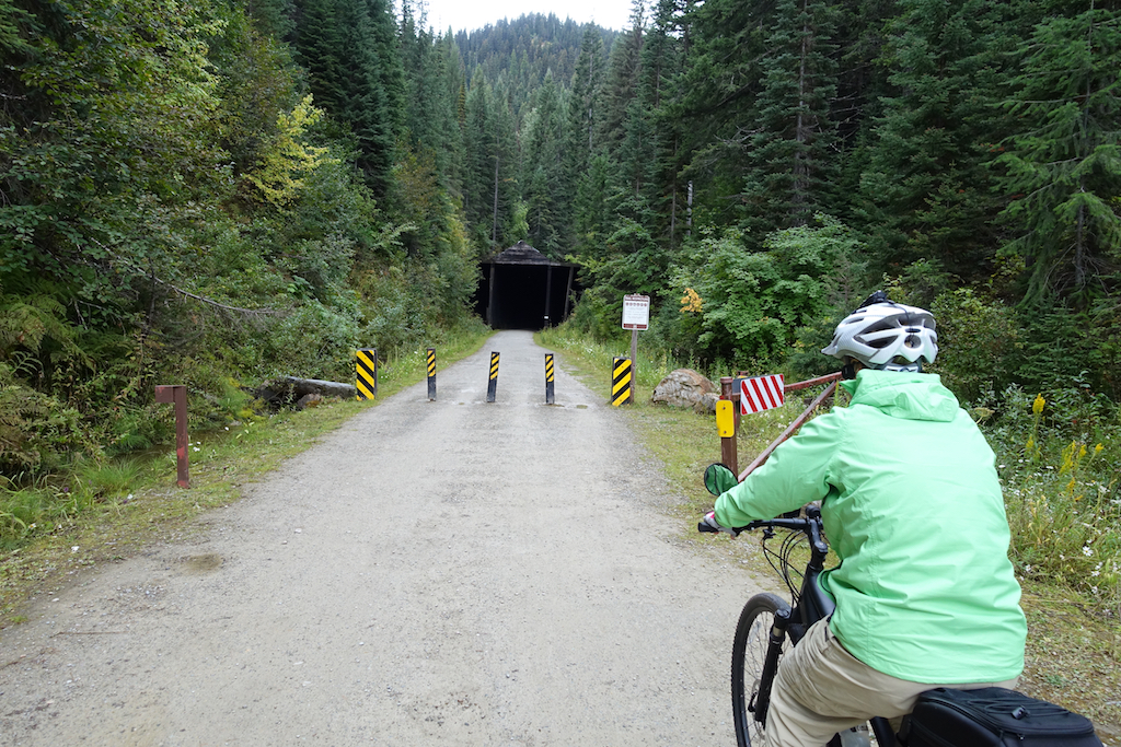 Biker about to pass through a tunnel surrounded by trees.