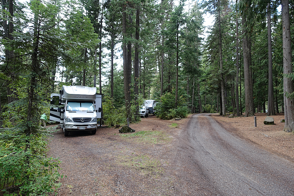 RVs parked in sites that are well surrounded by trees.